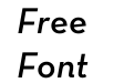 Neutra Text Demi Italic