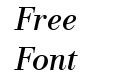 New Bodoni Italic