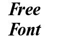 NewtonC Bold Italic