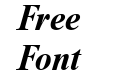 NewtonC Bold Italic