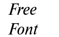 NewtonC Italic