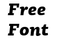 PF Centro Slab Pro Black Italic