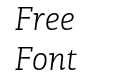 PF Centro Slab Pro Light Italic