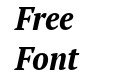 PT Serif Pro Narrow Bold Italic