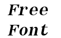 Roman Fixed Width Bold Italic