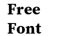 Source Serif Pro Bold