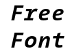 The Sans Mono Bold Italic