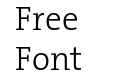 The Serif Light Plain