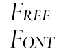 Throhand Pen Italic Expert