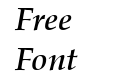 URW PalladioT Med Italic