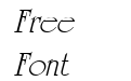 VNT University Roman Italic