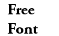 Adobe Garamond LT Bold