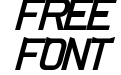 CS-Fox Italic