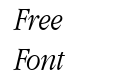 Apple Garamond Light Italic