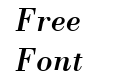 Binhlong-Italic