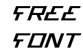 Bionic Type Expanded Italic