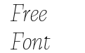 CalvinoTrial Thin Italic