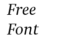 Charter OSF BT Italic