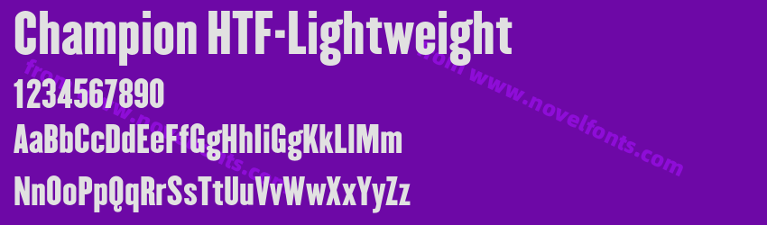 Champion HTF-LightweightPreview