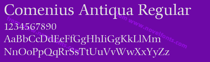 Comenius Antiqua RegularPreview