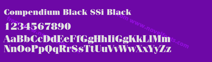 Compendium Black SSi BlackPreview