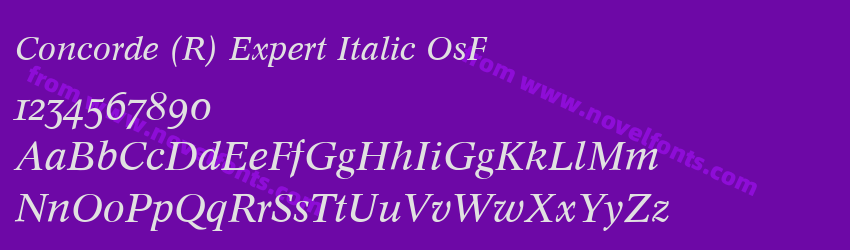 Concorde (R) Expert Italic OsFPreview