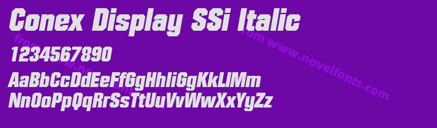 Conex Display SSi ItalicPreview