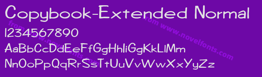 Copybook-Extended NormalPreview