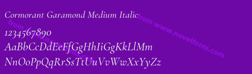 Cormorant Garamond Medium ItalicPreview