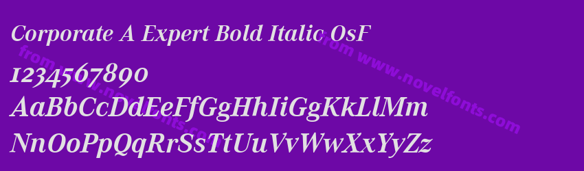 Corporate A Expert Bold Italic OsFPreview