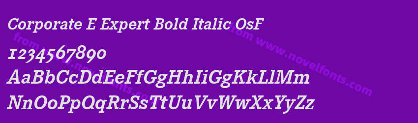 Corporate E Expert Bold Italic OsFPreview