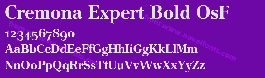 Cremona Expert Bold OsFPreview