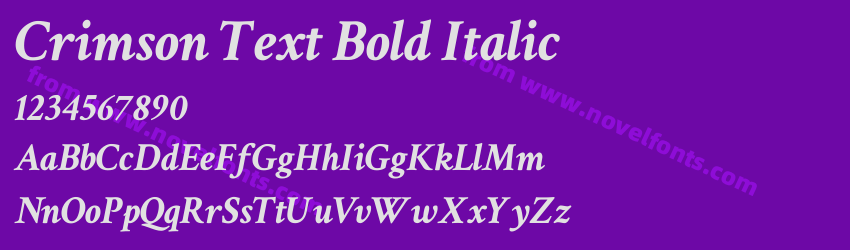 Crimson Text Bold ItalicPreview