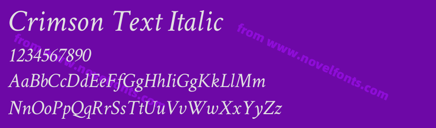 Crimson Text ItalicPreview