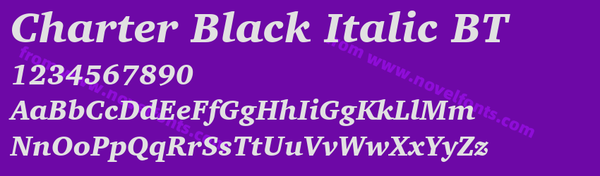 Charter Black Italic BTPreview