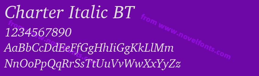 Charter Italic BTPreview