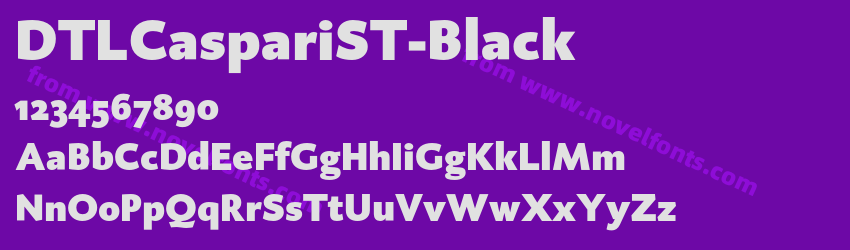 DTLCaspariST-BlackPreview