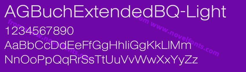 AGBuchExtendedBQ-LightPreview