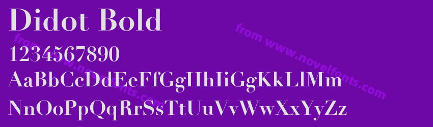 Didot BoldPreview