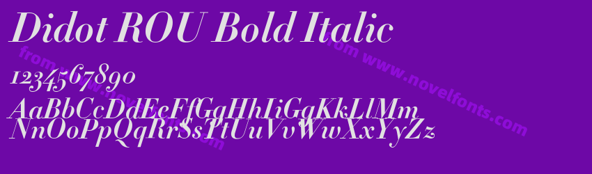 Didot ROU Bold ItalicPreview