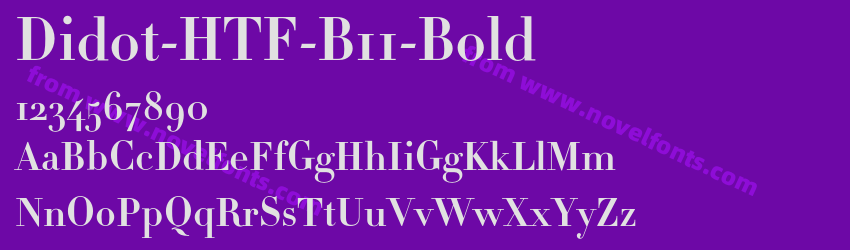 Didot-HTF-B11-BoldPreview