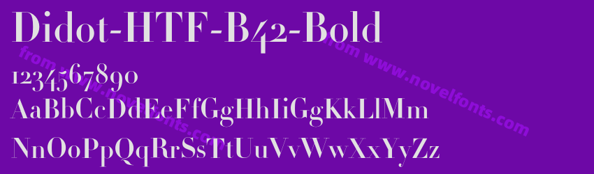 Didot-HTF-B42-BoldPreview