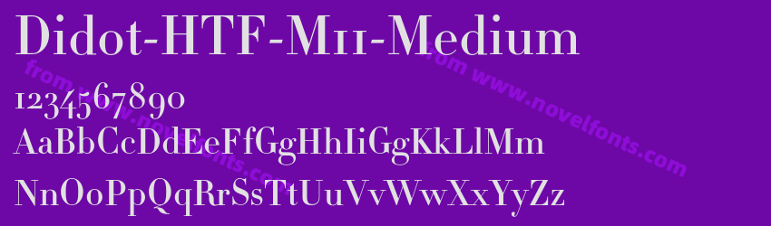 Didot-HTF-M11-MediumPreview