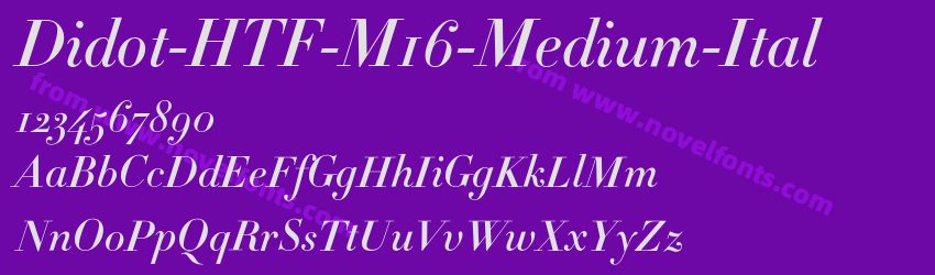 Didot-HTF-M16-Medium-ItalPreview