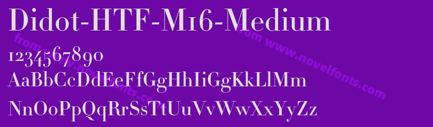 Didot-HTF-M16-MediumPreview