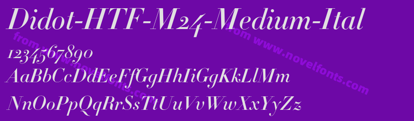 Didot-HTF-M24-Medium-ItalPreview