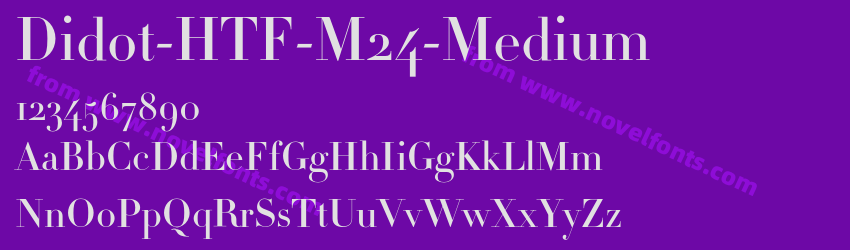 Didot-HTF-M24-MediumPreview