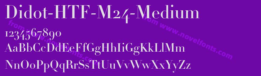 Didot-HTF-M24-MediumPreview