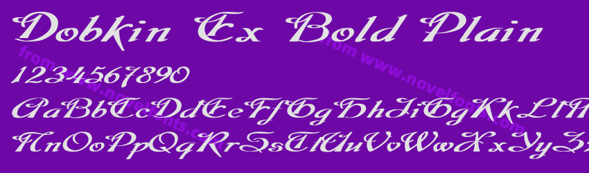 Dobkin Ex Bold PlainPreview