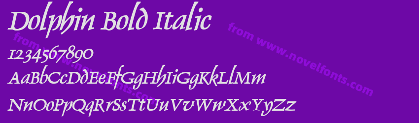 Dolphin Bold ItalicPreview